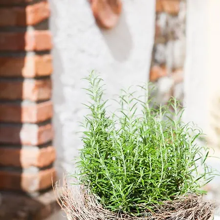 Ξενοδοχείο Hirsch 1783 Langenargen