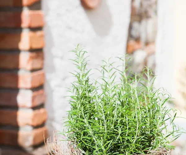 Hotel Hirsch 1783 Langenargen